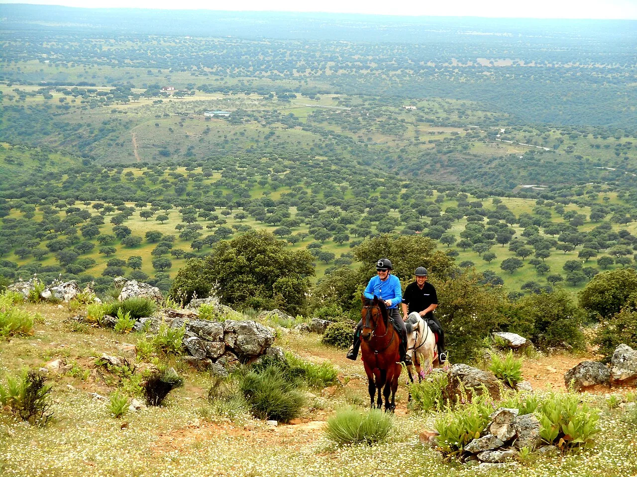 Vista panorámica del Parque Nacional de Monfragüe desde la Sierra de las Corchuelas, con dehesa y arbolado disperso.