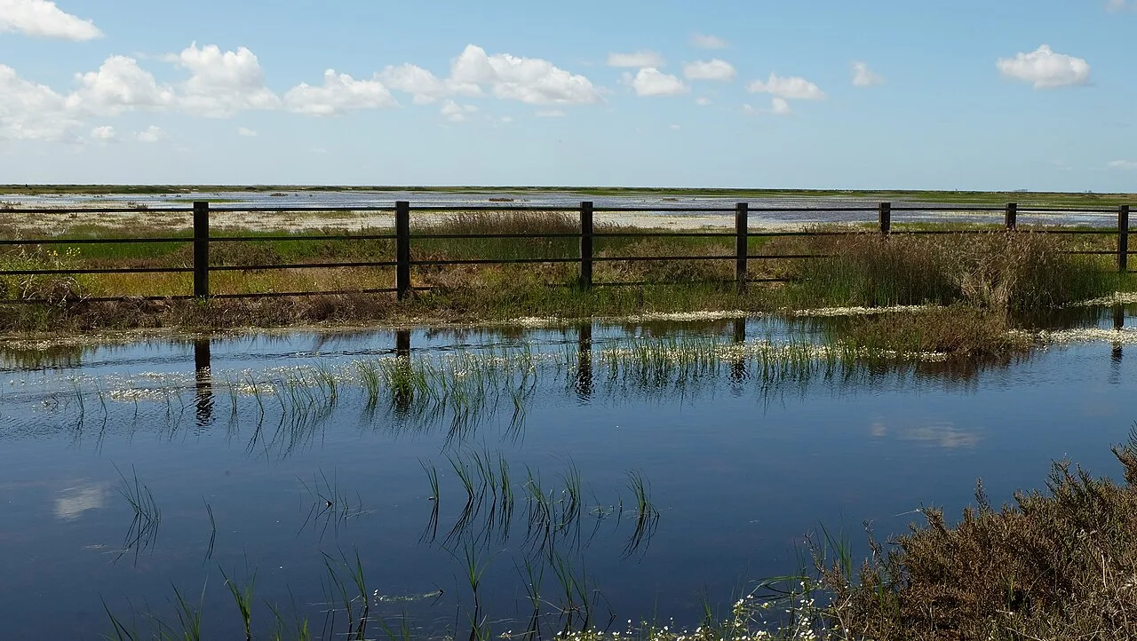 Marismas del Coto de Doñana inundadas después de las lluvias de primavera.